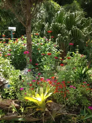 a garden filled with lots of different colored flowers at Alojamiento Campestre Cabañas Mirador Ingrumá Riosucio Caldas in Ruiosucio