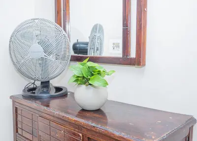 a table with a fan and a vase with a plant at Hotel Conquistadores in Medellín