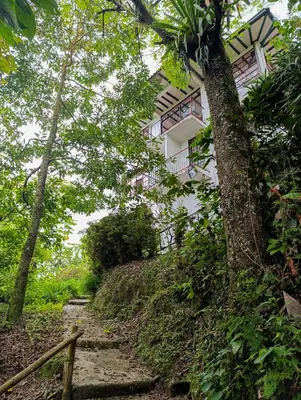 a house on the side of a hill with a dirt path at Eco Lodge La Juanita in Manizales