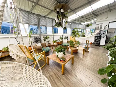 a room with a bunch of plants and swings at Hotel Bolivariana Plaza Medellin in Medellín