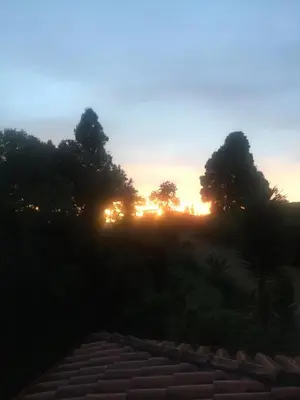 a sunset over a field with trees in the background at Hospedaje Solentiname in Medellín