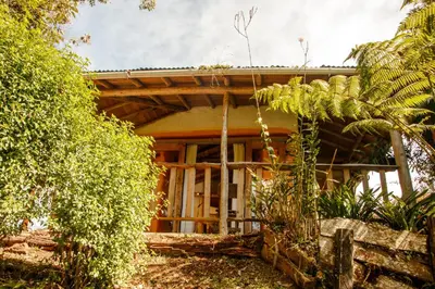 a house in the middle of a forest at Hospedaje Solentiname in Medellín