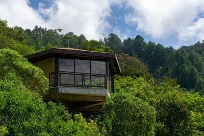 a tree house in the middle of the forest at Cannúa Lodge Hotel in Marinilla