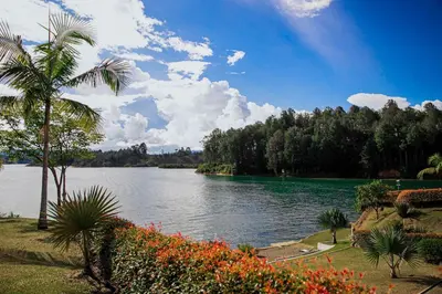 a view of a lake with a palm tree and flowers at Hotel Los Recuerdos in Guatapé