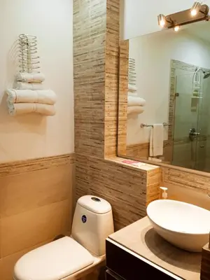 a bathroom with a toilet and a sink and a mirror at HOTEL LA POSADA DEL ZAGUÁN in El Retiro