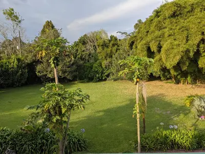 a garden with trees and a green lawn at Casa Finca Paititi in San Antonio de Pereira