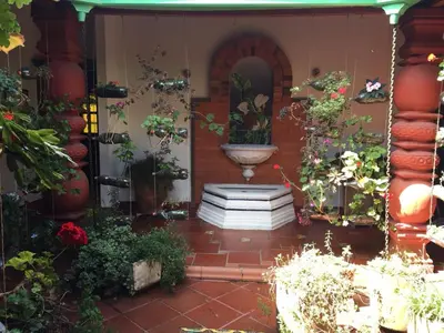 a garden with a bunch of potted plants at Casa Finca Paititi in San Antonio de Pereira