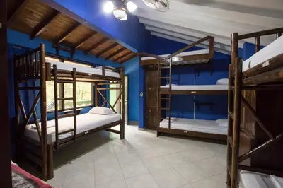 a room with three bunk beds and a blue wall at Arcadia Hostel Medellin in Medellín