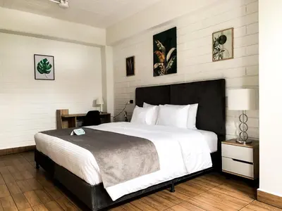 a bedroom with a large bed and a desk at Hotel Provenza Garden in Medellín