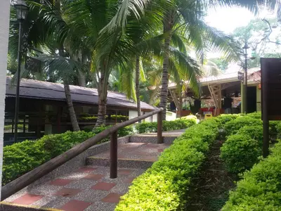 a stairway with palm trees in front of a building at Hotel el Tesoro in San Jerónimo