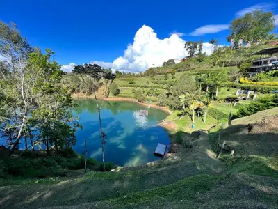 a view of a lake in a field with trees at Finca Alejandria in Guatapé