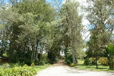 a path in a park with trees and grass at Casa Finca Corales Llano Grande 2 in Rionegro