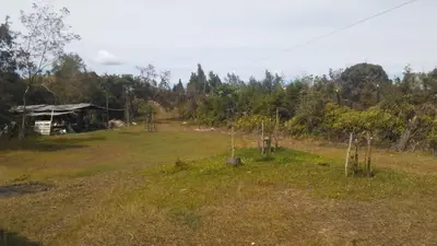 a field with trees and a house in the distance at Hospedaje Rural Misia Emilia in Medellín