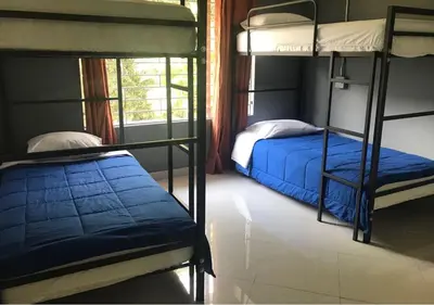 a bedroom with two bunk beds and a window at Black Sheep Medellin in Medellín