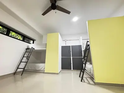 a room with two bunk beds and a ceiling at Black Sheep Medellin in Medellín
