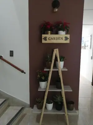 a ladder with potted plants on a wall at Hotel Sol del Estadio in Medellín