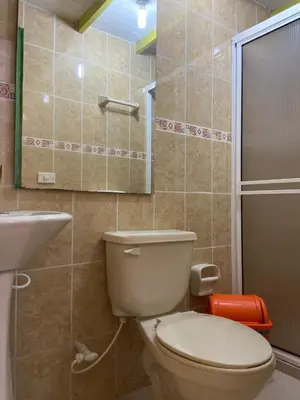 a bathroom with a toilet and a sink and a shower at casa hostal las palmeras in Guatapé