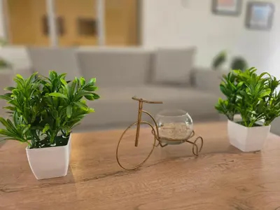 a small glass bike on a table with two plants at Casa amplia y cómoda cerca del Estadio y la 70 in Medellín