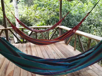 a hammock on a wooden deck with trees at El Tigrillo Rio Claro by Los Colores Ecoparque in Doradal