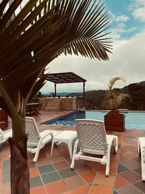 a pool with two white chairs and a palm tree at Hotel Estaciones in Guatapé