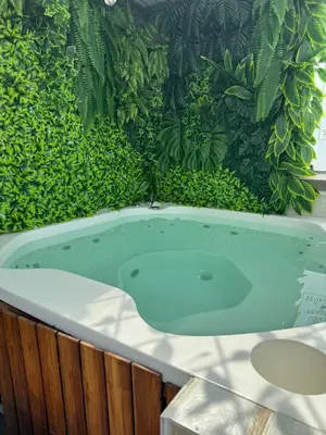 a bath tub in front of a green wall at Seven Inn Hotel in Medellín
