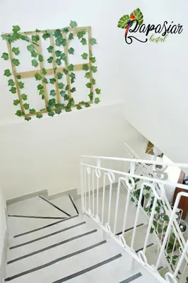 a room with a staircase with a plant on the wall at Pa Pasiar Hostal in Medellín