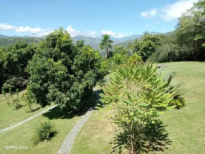 Gallery image of Hostal finca Palermo in Santa Fe de Antioquia