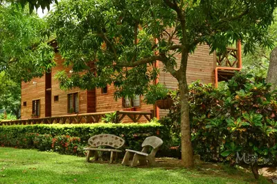 two benches sitting in the grass in front of a house at Hostería Miraflores in Liborina
