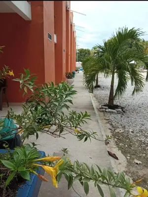 Gallery image of Hotel Inversiones Napoles in Doradal