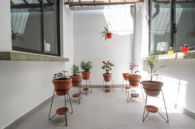 a room with a bunch of potted plants on stools at Casa Tuvia in Medellín
