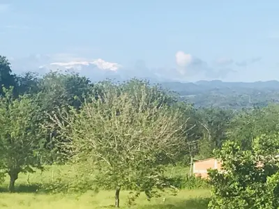 a field with trees and a house in the distance at La Luna by JR in Mariquita