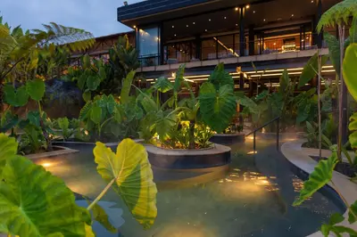 a building with a pool of water with plants at Termales El Otoño in Manizales