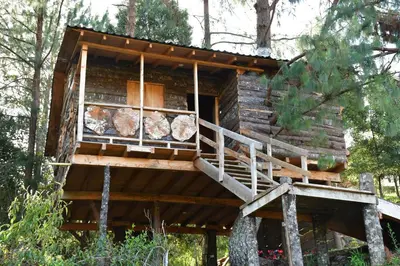 a tree house in the middle of the forest at Glamping Ancestros Ecoparque in Girardota