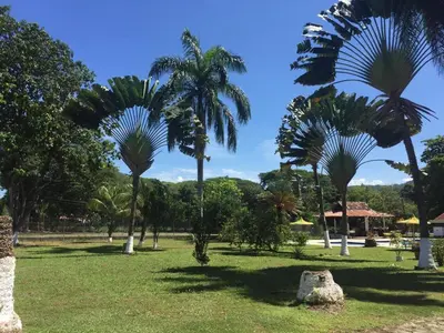 Gallery image of Finca Hotel Pinares in La Pintada