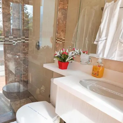 a bathroom with a shower and a toilet and a sink at Libertg Hotels Medellin in Copacabana