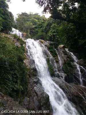 a waterfall on the side of a hill with trees at Hotel Los Mangos in San Luis