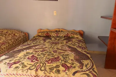 a bed with a comforter with a dragon on it at Hotel Felicina in Jericó