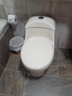 a white toilet in a bathroom with a roll of toilet paper at Hotel Mirador Santana in Anserma