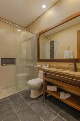 a bathroom with a shower and a toilet and a mirror at Hotel Du Parc in Medellín