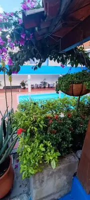 a garden with flowers and a swimming pool at HOTEL BRISAS DE SANTA FE in Santa Fe de Antioquia