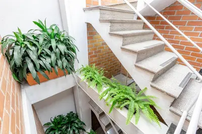 a staircase with plants on the side of a building at Gran Caribe Hotel in Medellín