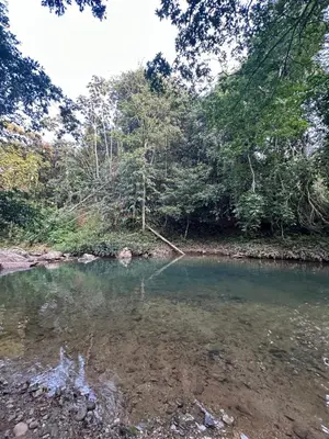 Gallery image of Finca Hotel Doradal in Doradal