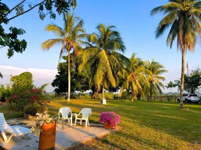 a park with two white chairs and palm trees at Finca en Doradal ( Hacienda Napoles y Rio Claro ) in Doradal