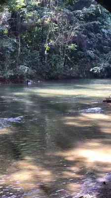 a body of water with trees in the background at Finca en Doradal ( Hacienda Napoles y Rio Claro ) in Doradal