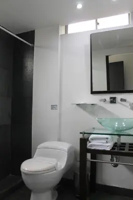 a bathroom with a toilet and a sink and a mirror at Hotel Boutique las Rosas 5 G in Medellín