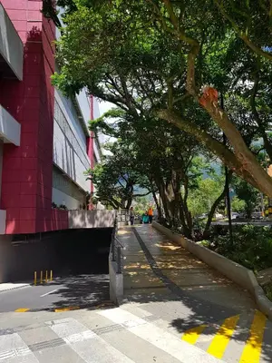 a tree lined street in front of a building at Casa Centro Comercial la Central - Wifi - Outside Parking in Medellín