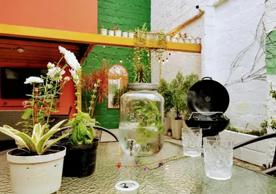 a glass jar on a table with plants on it at Botánica Casa Hotel in Medellín