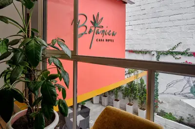 a window with a chair and plants in a room at Botánica Casa Hotel in Medellín