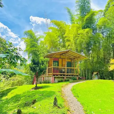 Cabañas con cascada privada & vistas a la montaña Naturaleza total