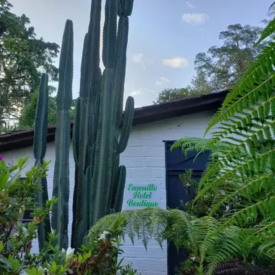 Ensenillo Hotel Boutique
